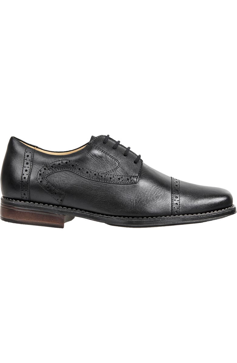 Sandro Moscoloni 'Bruce' Oxford, Alternate, color,