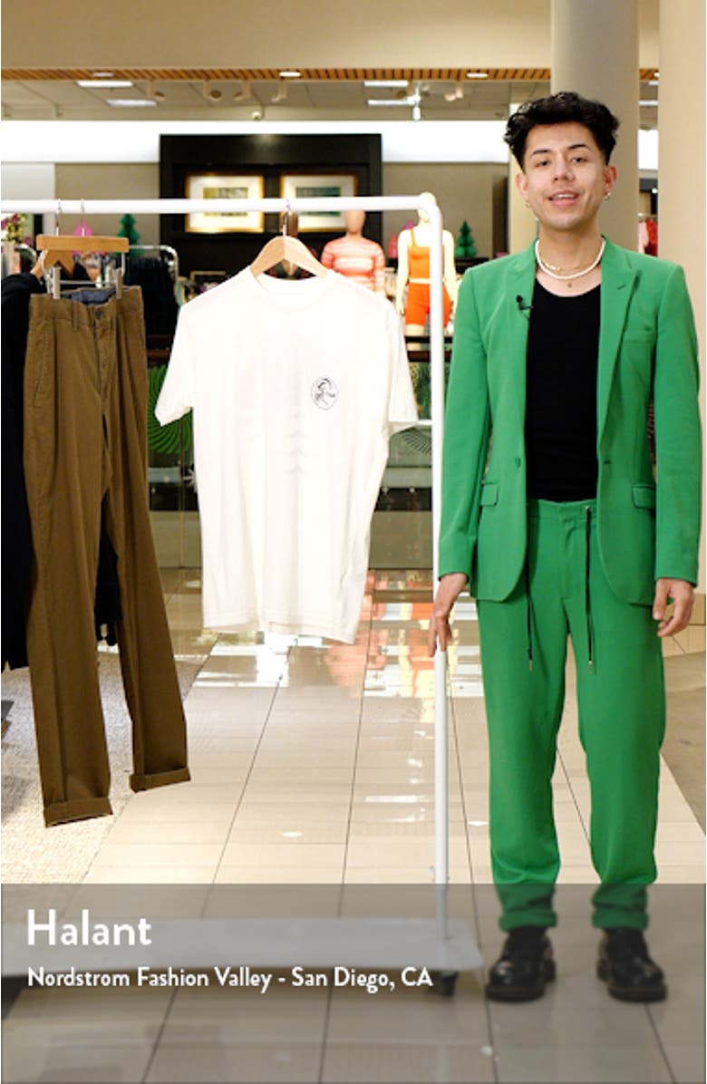 Seagull Graphic T-Shirt, sales video thumbnail