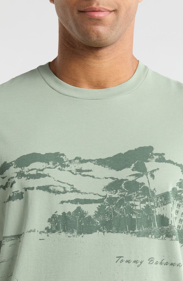 Tommy Bahama Vacation Visions Cotton Graphic T-Shirt, Alternate, color, Oxidize Metal