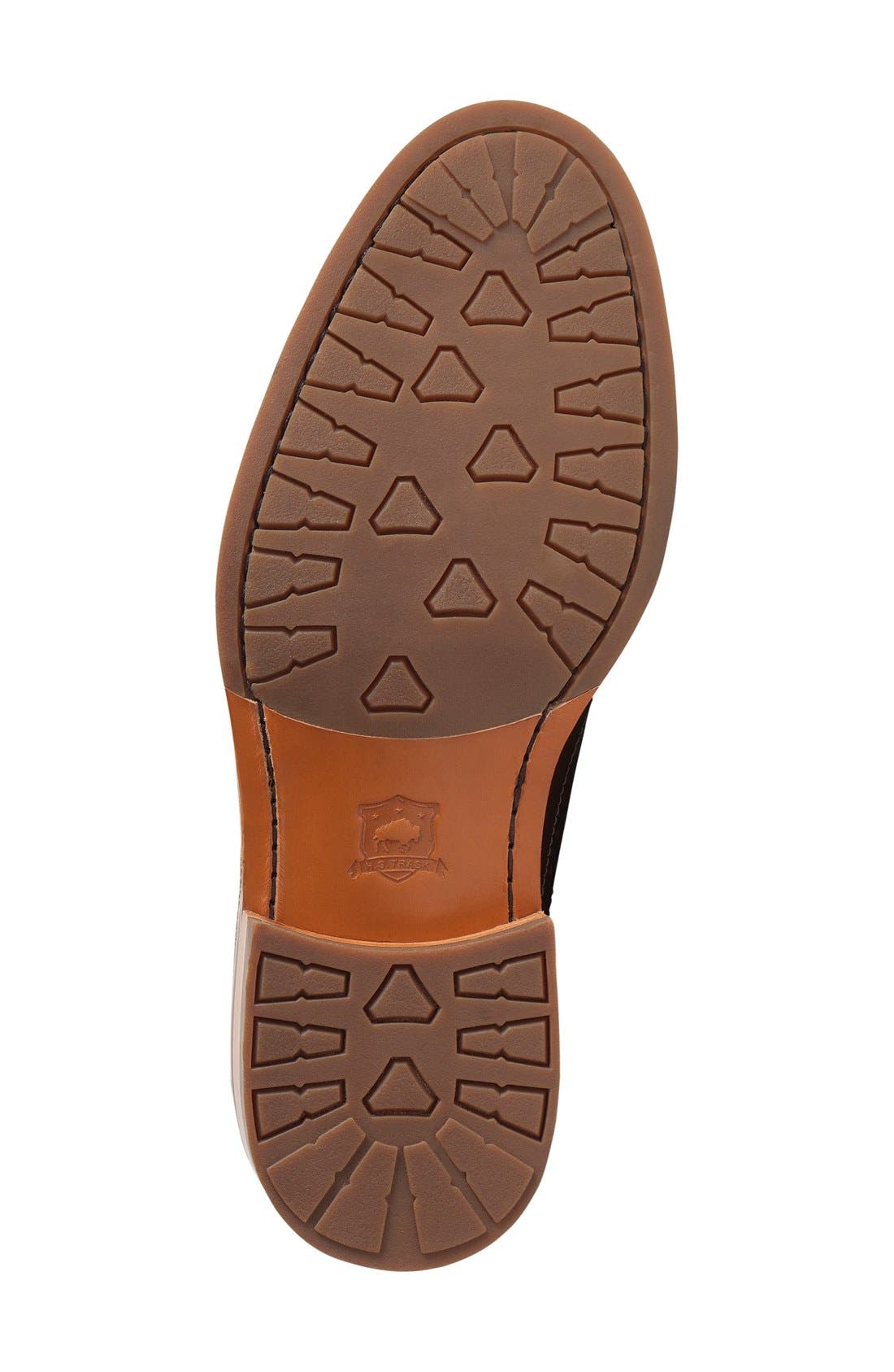 Trask 'Fiske' Longwing, Alternate, color, 