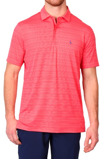 TAILORBYRD TAILORBYRD VARIEGATED STRIPE PERFORMANCE POLO 