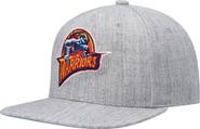 Mitchell & Ness Men's Mitchell & Ness Heathered Gray Golden State Warriors Hardwood Classics Team 2.0 Snapback Hat
