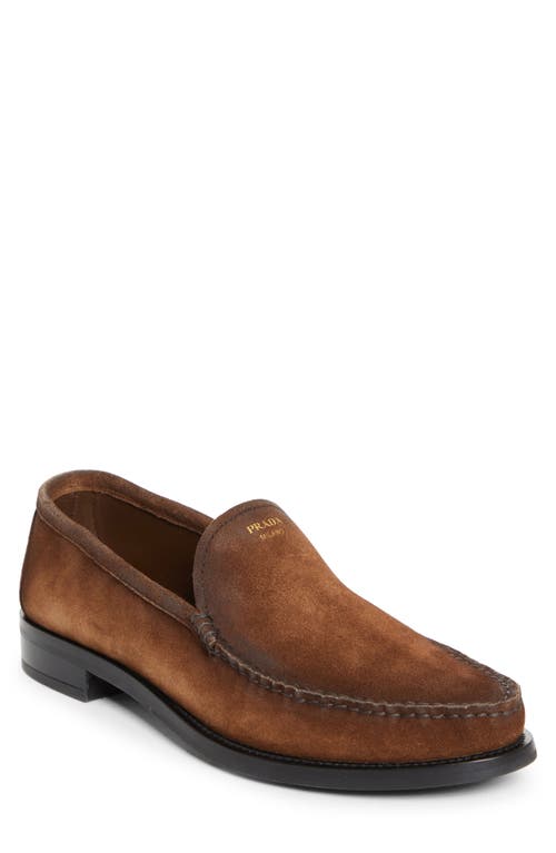Prada Moc Toe Suede Loafer In Brown
