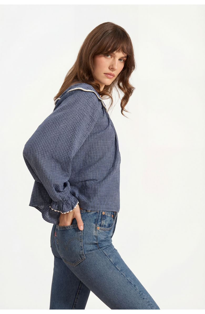 If Only If Katharine Blouse, Alternate, color, Denim Check