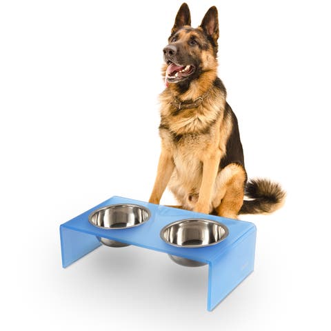 Keaton Modern Lucite Rectangular Elevated Pet Feeder with 2-Stainless Steel Bowls