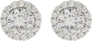 SUZY LEVIAN Sterling Silver & CZ Halo Stud Earrings