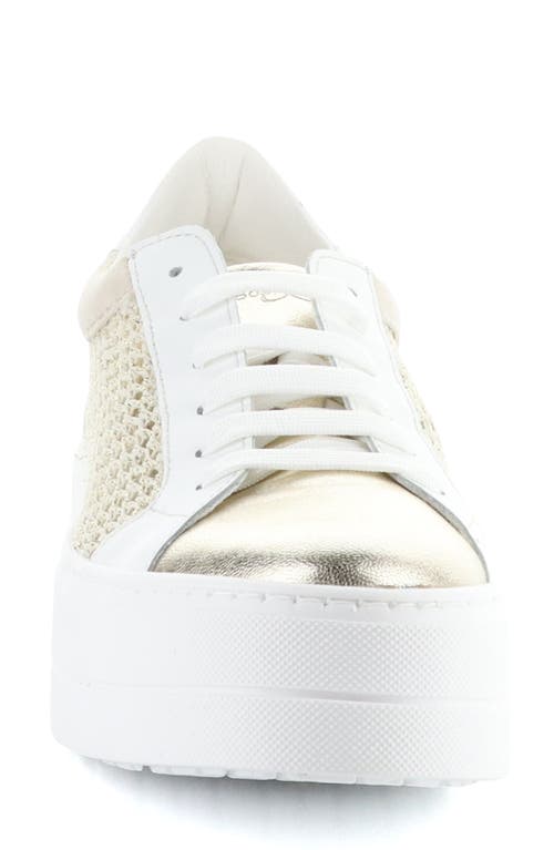 Bos. & Co. Marlo Platform Sneaker In Gold/white