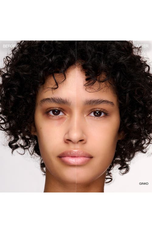 Ogee Complexion Perfecting Concealer