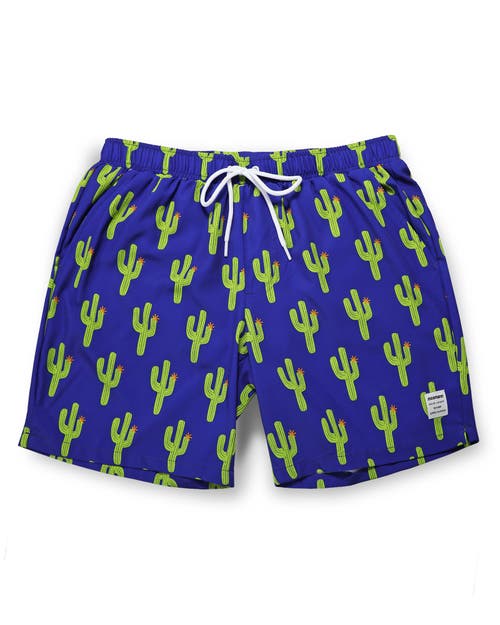 Mosmann Australia Board Shorts In Blue