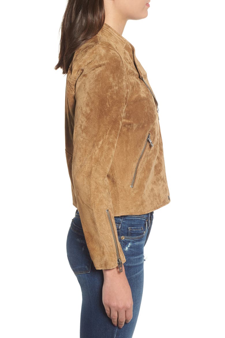 No Limit Suede Moto Jacket, Alternate, color, CASABLANCA