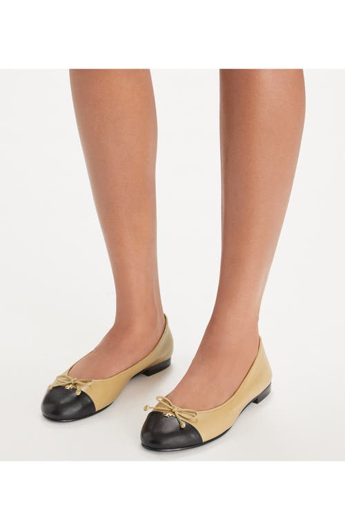 Tory Burch Cap Toe Ballet Flat In Multi