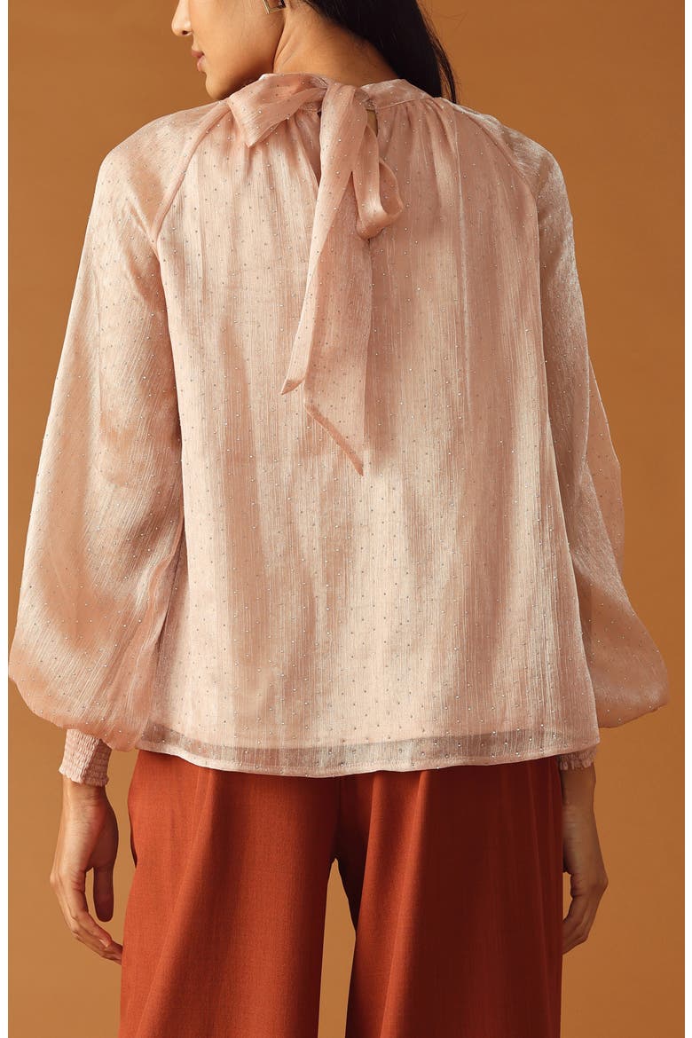 Embellished Long Sleeve Top, Alternate, color, ROSE