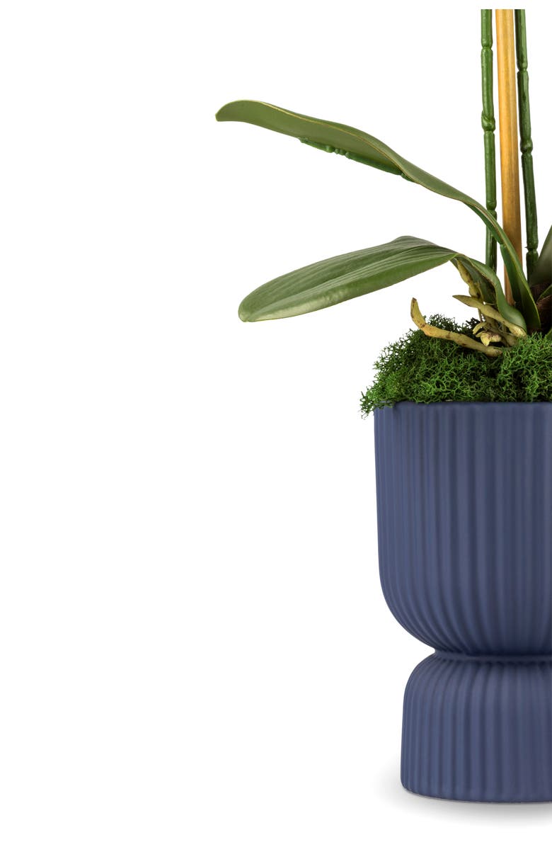 CocoBella Cruz RealTouch Pedestal Orchid, Alternate, color, Snow