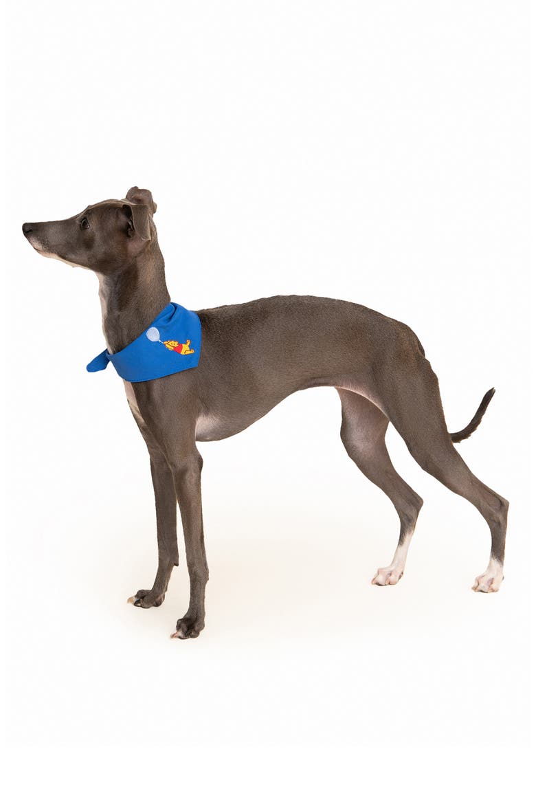 x Disney 'Winnie the Pooh' Embroidered Dog Bandana (Nordstrom Exclusive), Main, color, BLUE