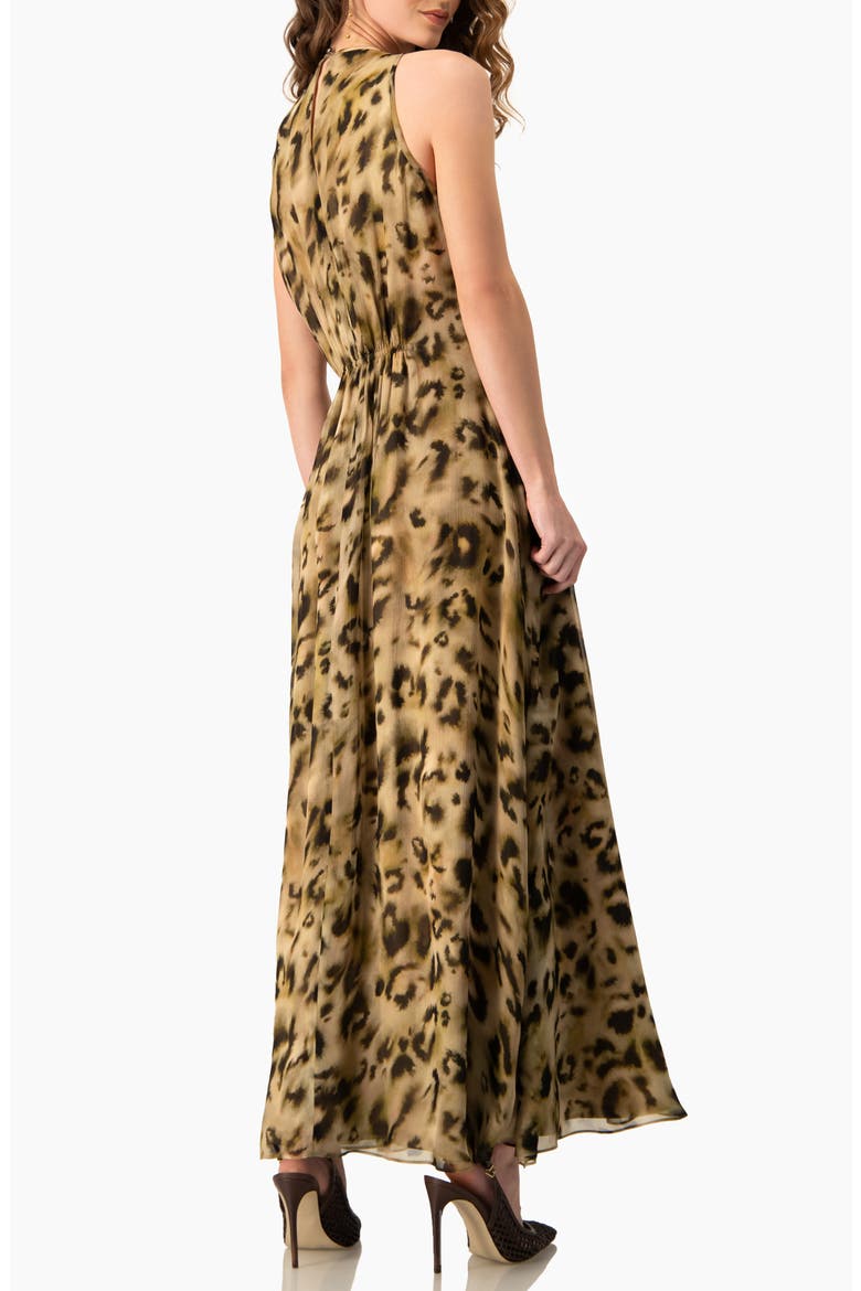 Abstract Animal Print Chiffon, Sleeveless Cinched-Waist A-Line Maxi Dress, Alternate, color, Olive Green