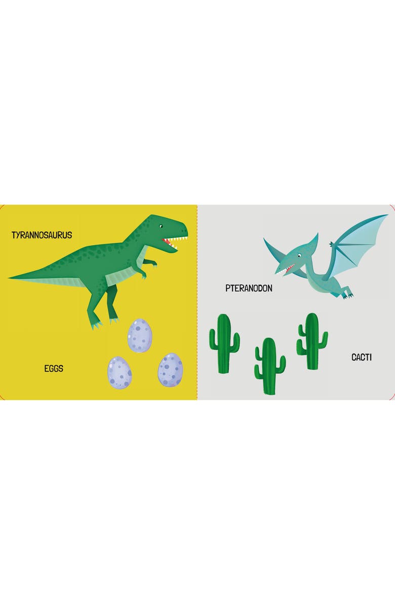 Sassi Q Box The Dinosaurs Read Play Learn Jurassic 40 Piece Set, Alternate, color, Multicolored