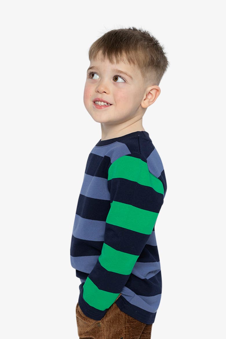 Cotton Large Striped Long Contrasting Sleeve T-Shirt, Alternate, color, Blue, Green and Brown Stripes