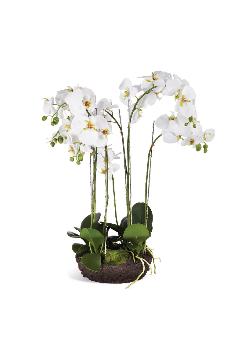 Phalaenopsis Bowl Drop-In 31.5", Main, color, White