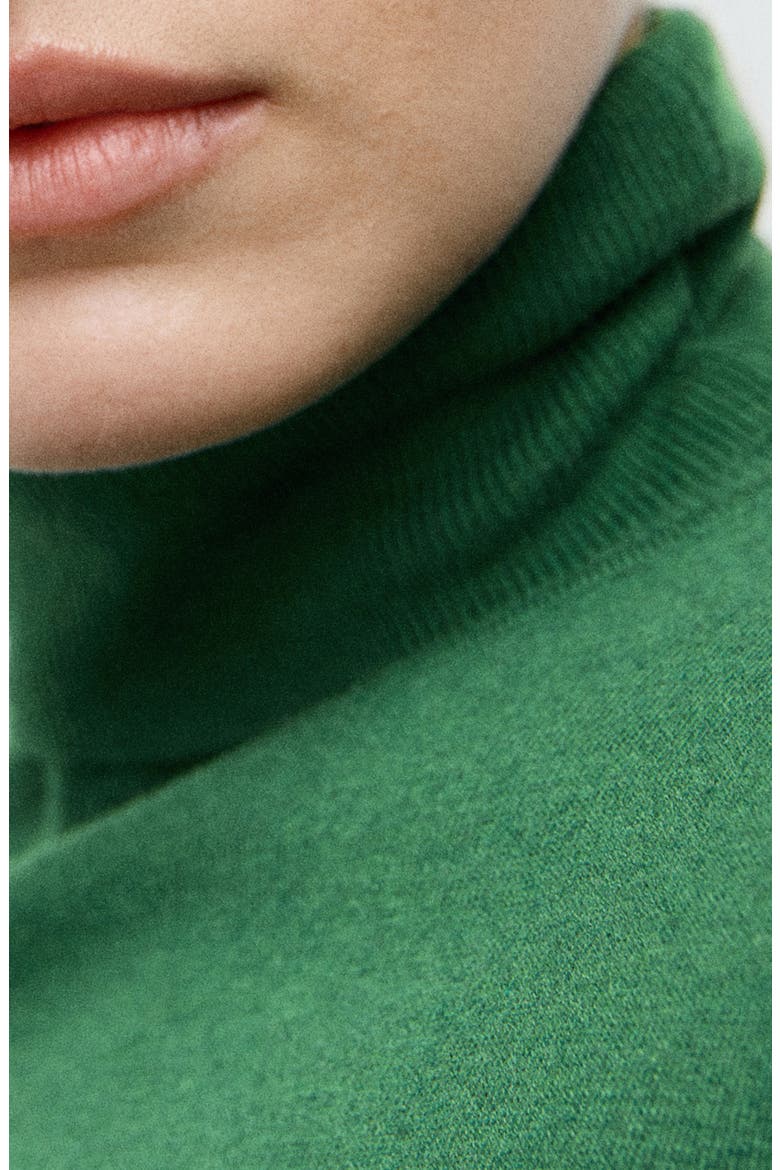 Turtle Knit Sweater, Alternate, color, DARK GREEN