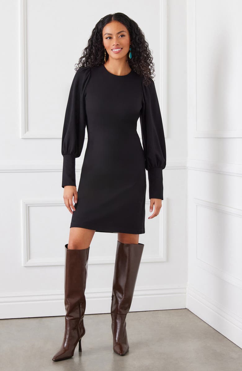 Karen Kane Long Sleeve Ponte Shift Dress, Alternate, color, 