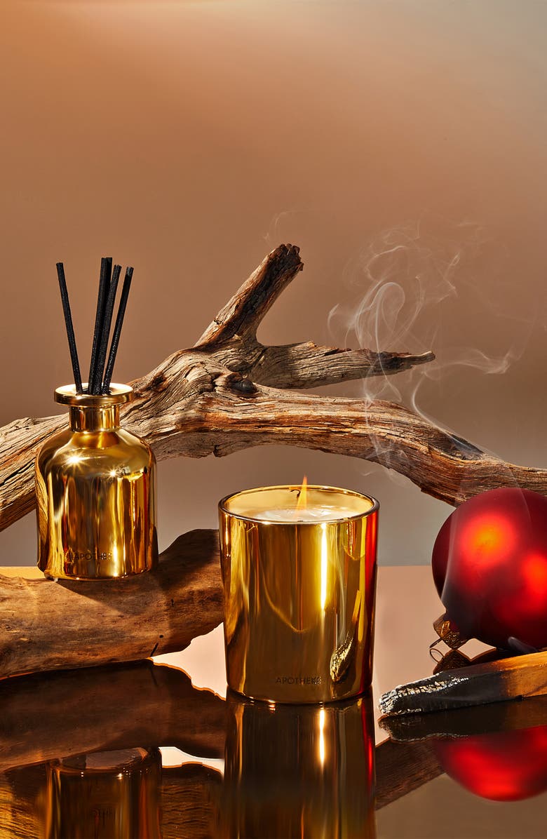 APOTHEKE Mini Candle & Mini Reed Diffuser Home Fragrance Duo, Alternate, color, 