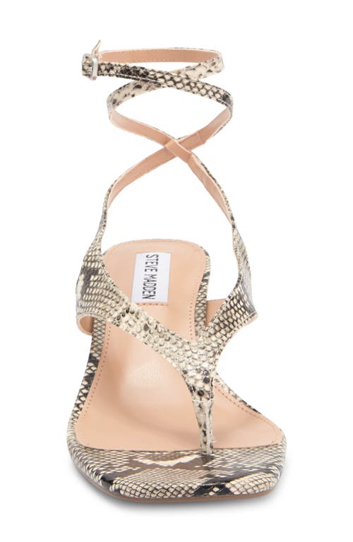 Steve Madden Rayger Ankle Strap Heel Sandal