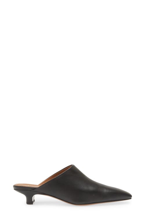 Atp Atelier Sepino Mule In Black