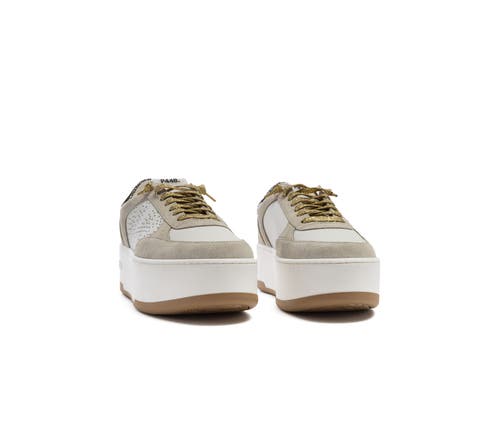P448 Empire Platform Sneaker In Multi