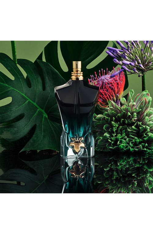 Jean Paul Gaultier Le Beau Le Parfum In Transparent