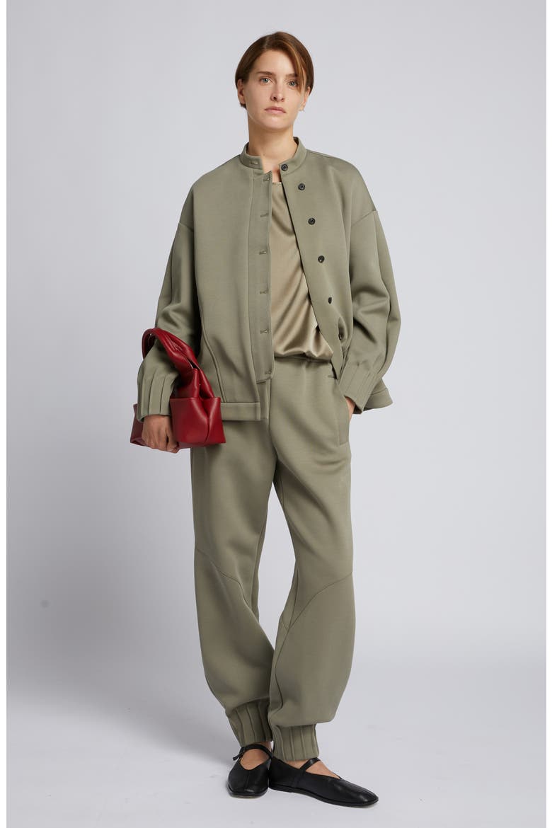 Aceto Cotton Blend Jacket, Alternate, color, HORN GREY GREEN