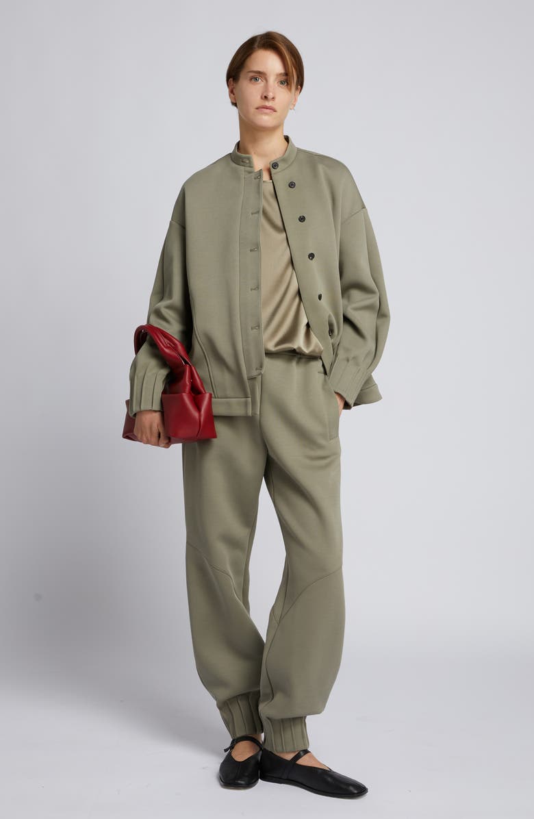 MM by Max Mara Aceto Cotton Blend Jacket, Alternate, color, Horn Grey Green