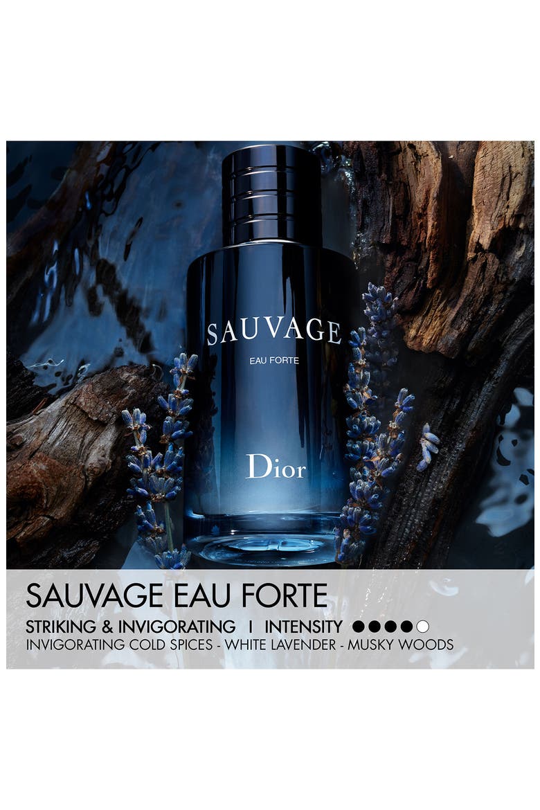 Sauvage Eau Forte Parfum, Alternate, color, NONE
