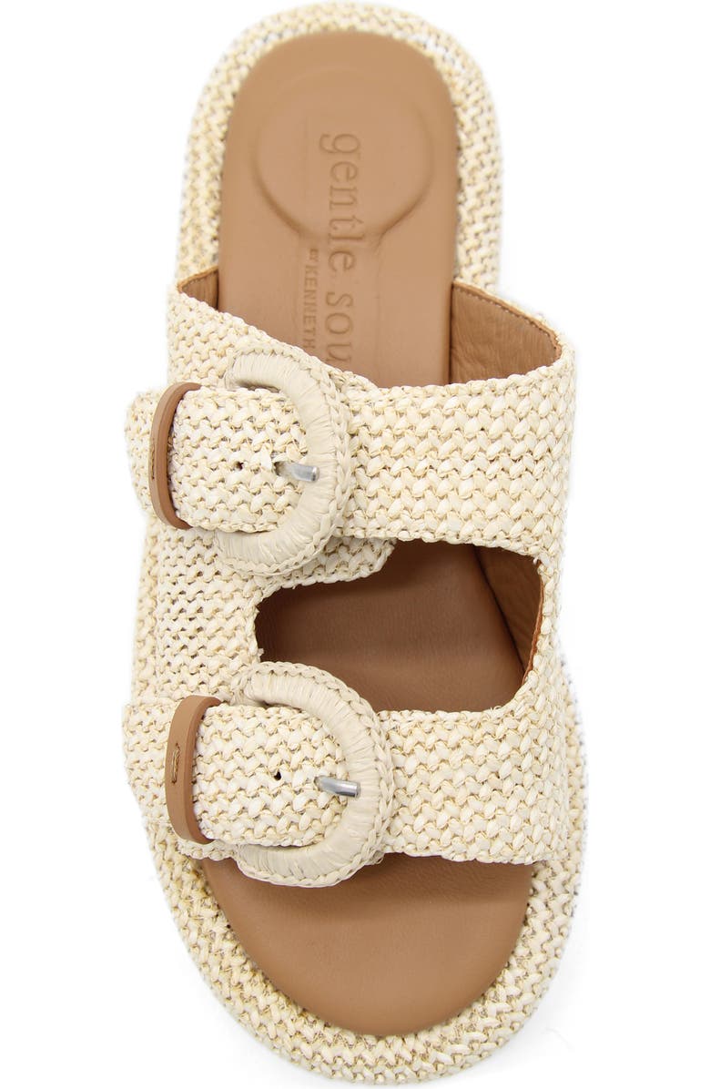 Gentle Souls Theresa Platform Slide Sandal, Alternate, color, Natural Raffia