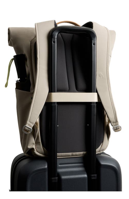 Bellroy Classic Roll Top Water Resistant 16l Backpack In Brown