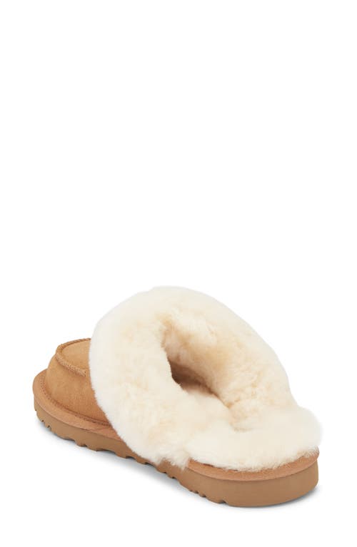 Ugg ® Loria Genuine Shearling Lined Slipper In Brown