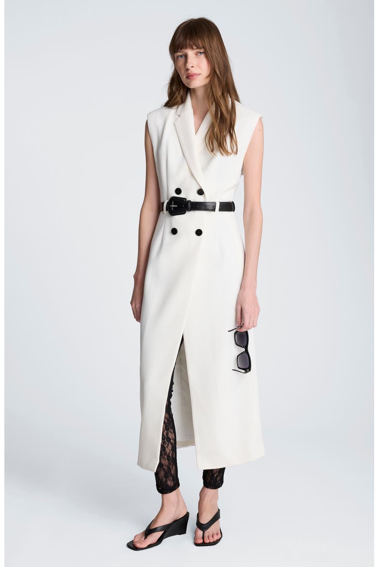 Double Breasted Midi Trench Dress, Alternate, color, NATURAL WHITE / BLACK