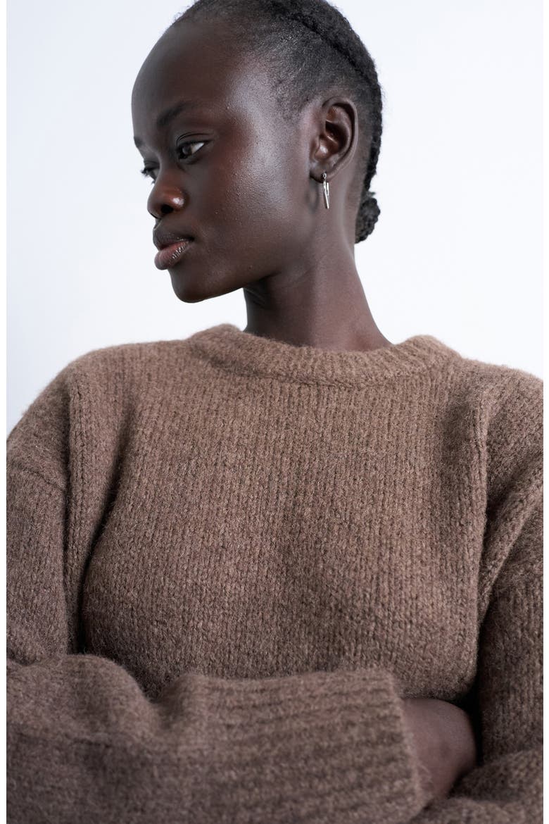 Fluffy Crewneck Sweater, Alternate, color, BROWN