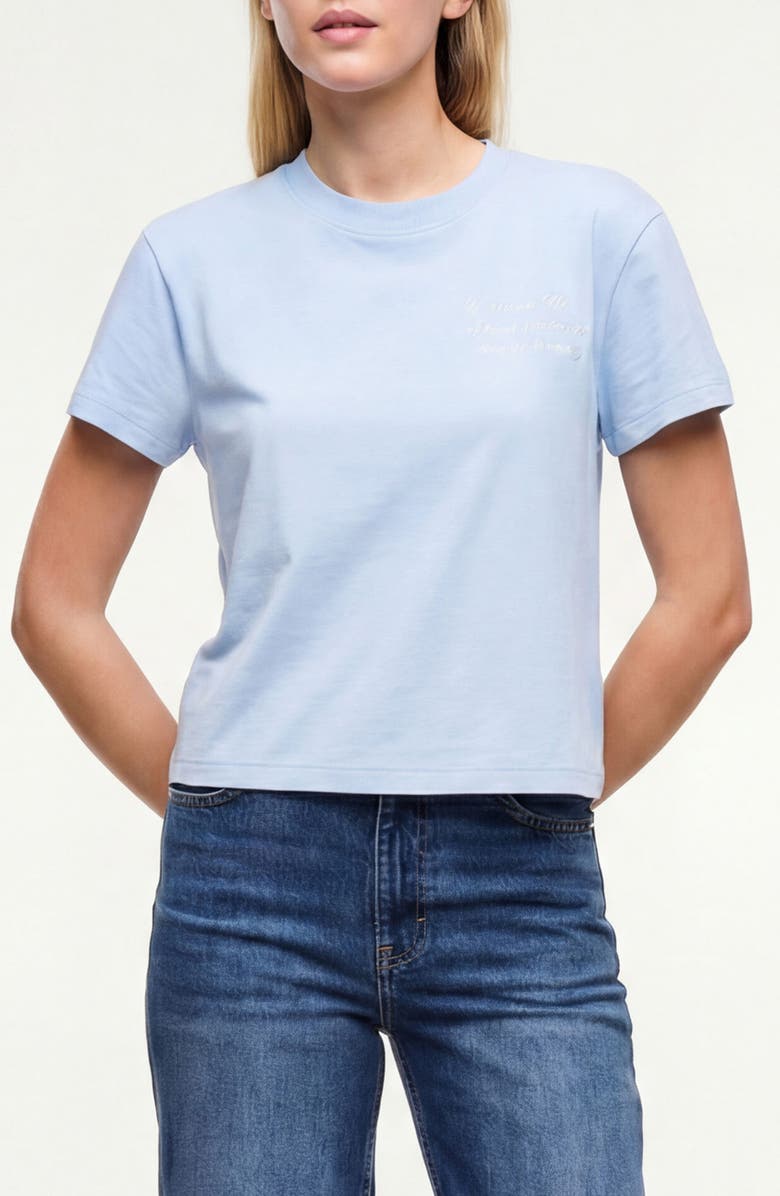 Wildfox Jamie Endless Cotton Graphic T-Shirt, Main, color, Skyway