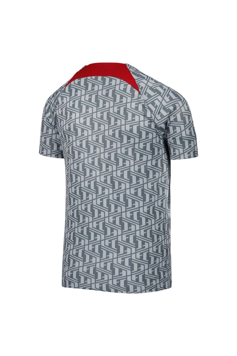 Youth Nike Gray Liverpool Pre-Match Top, Alternate, color, Gray