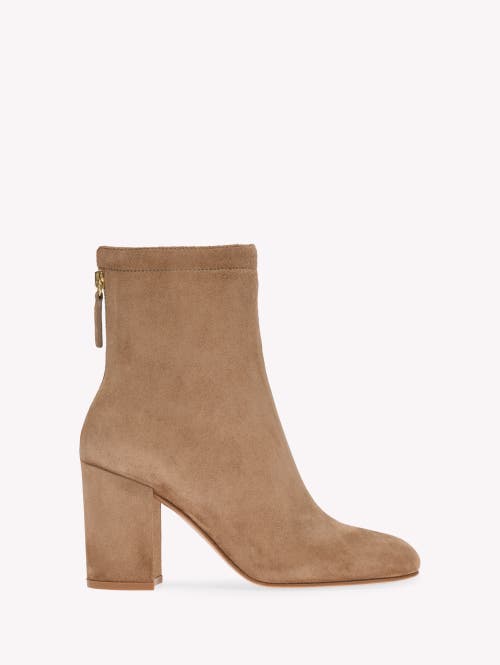 Gianvito Rossi Suede Ankle Boots In Brown