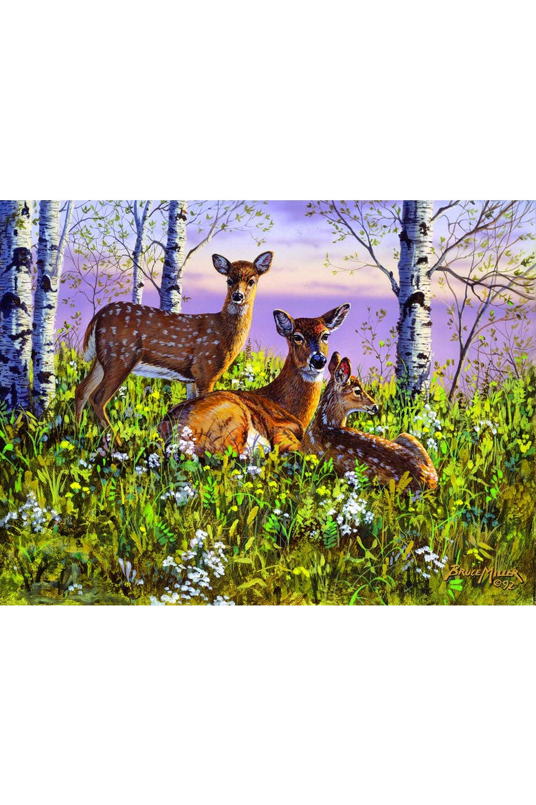 Spring twins 500 piece Jigsaw Puzzle for Adults, Alternate, color, Multicolor