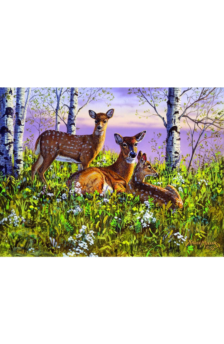 Sunsout Spring twins 500 piece Jigsaw Puzzle for Adults, Alternate, color, Multicolor