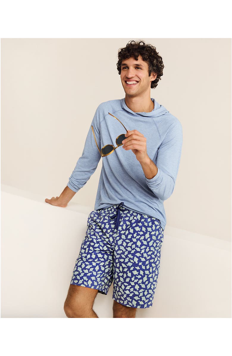 Lands' End 9" Volley Hydroliner Swim Trunks, Alternate, color, Light Blue Scales