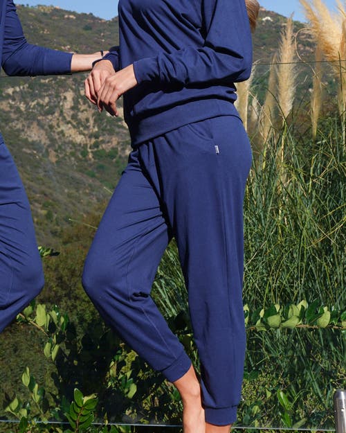 Feat Roam Jogger In Navy