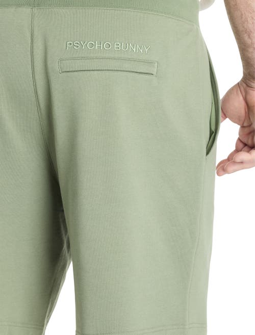 Psycho Bunny Big & Tall Baxter Embroidered French Terry Shorts In Sea Spray