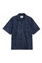 selected Vestige, Blue