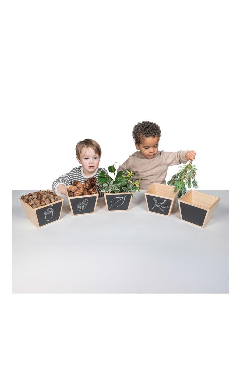 Polydron Wooden Sorting Pots - Set of 5, Alternate, color, Beige