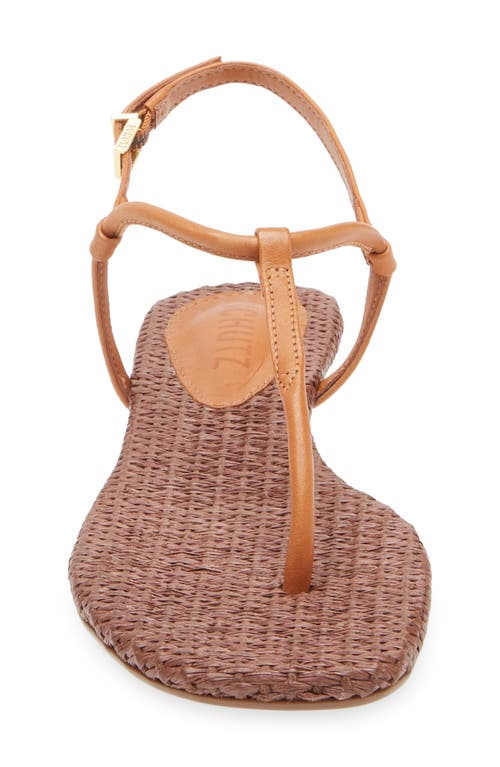 Schutz Elsha Ankle Strap Sandal In Cuoio Brown