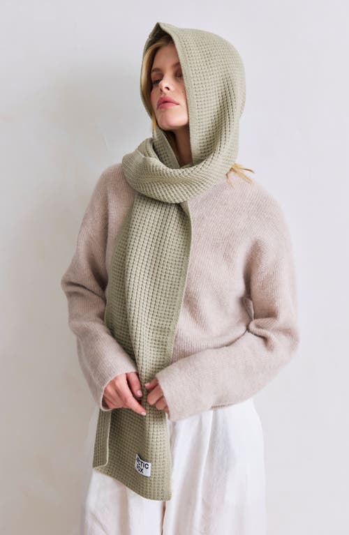 Arctic Fox & Co. Arctic Fox & Co The Recycled Bottle Hooded Scarf In Green