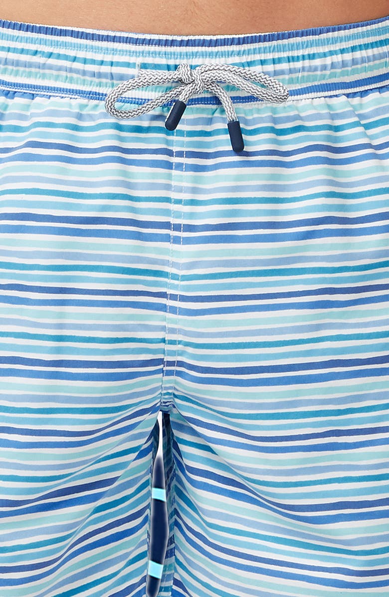 Tom & Teddy Stripe Swim Trunks, Alternate, color,